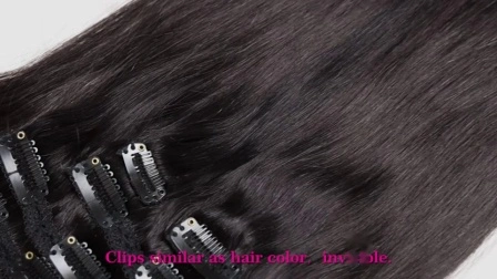 Wholesale 100% Human Hair Full Head Clip in Hair Extensions