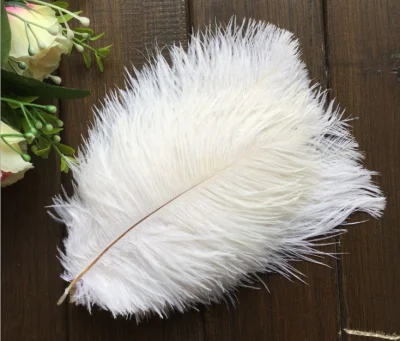 Wholesale Beautiful Real Feather Hair Extension for Women